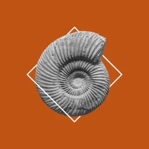 Od pozabljene znamke do tržno privlačne znamke